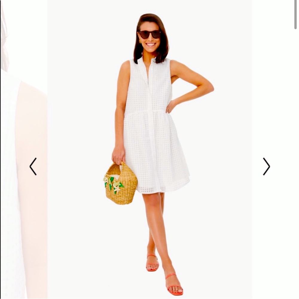 White Burnout Royal Shirt Dress